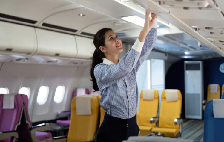 Travel and Hospitality Sector